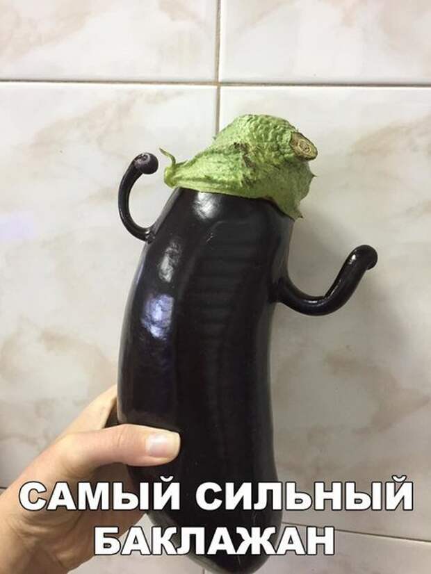Прикольные фотомемы в новом сборнике (24 шт)