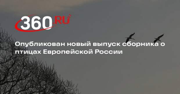 Опубликован новый выпуск сборника о птицах Европейской России