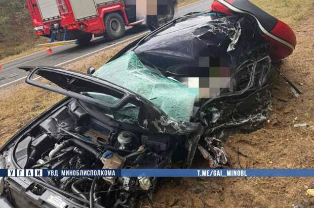 Водитель легковушки погиб в ДТП в Борисовском районе.