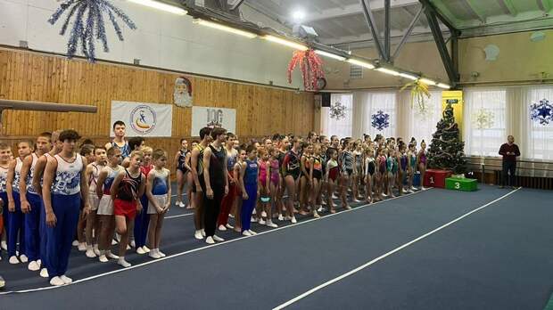 131224sportgimnast.jpg