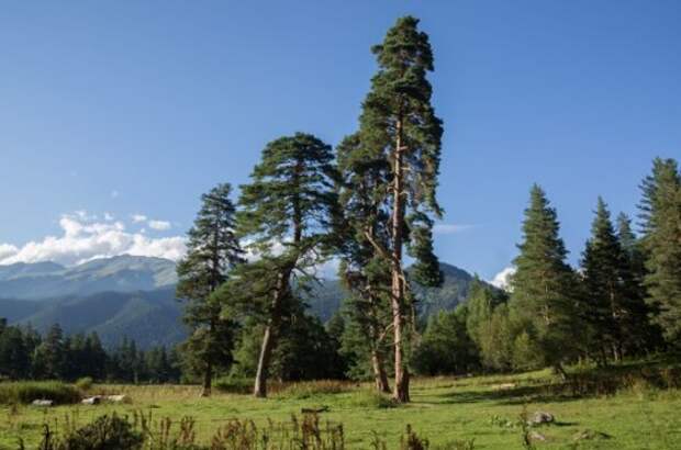 Карачаево-Черкесия стала лидером по росту турпотока в 2025 году