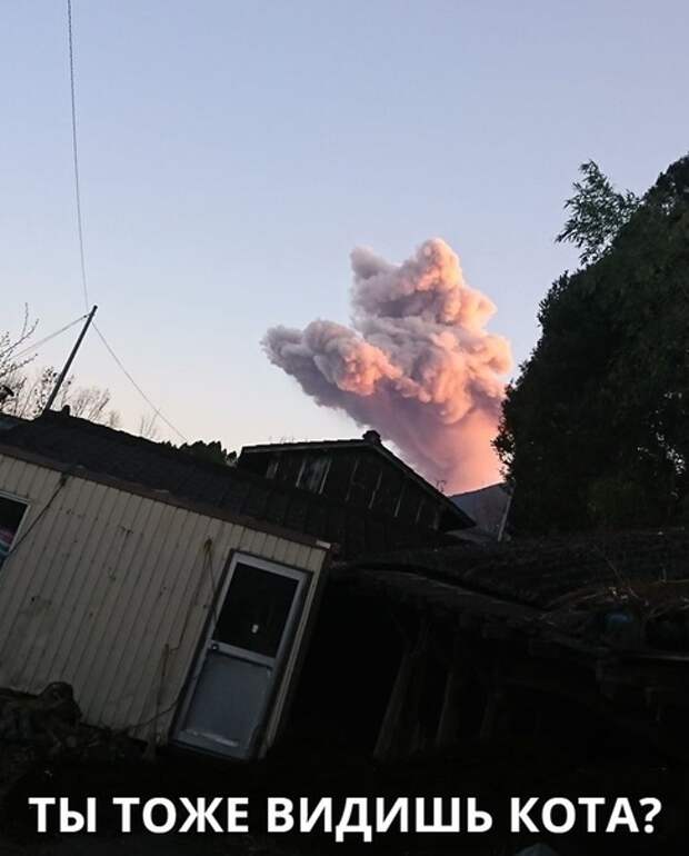 Зачетные и ржачные надписи к картинкам и фото приколам для улыбки