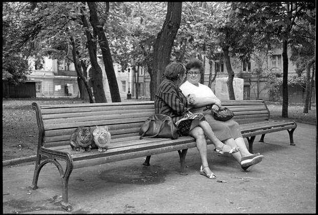 fotograf Misha Pedan 23