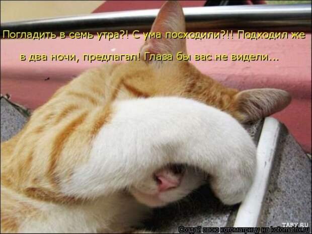 Котоматрицы великолепные, каждая с кусочком позитива и хорошего настроения!!!