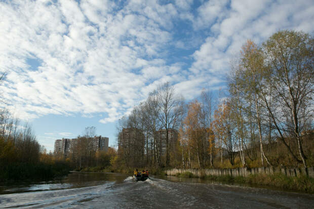 В Петербурге и Ленобластси откроют первый экомаршрут на каяках и байдарках