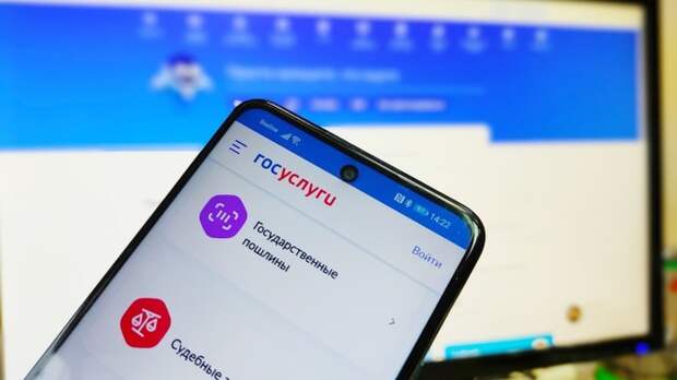 Подтвердить гражданство ребенка по рождению можно будет через "Госуслуги"