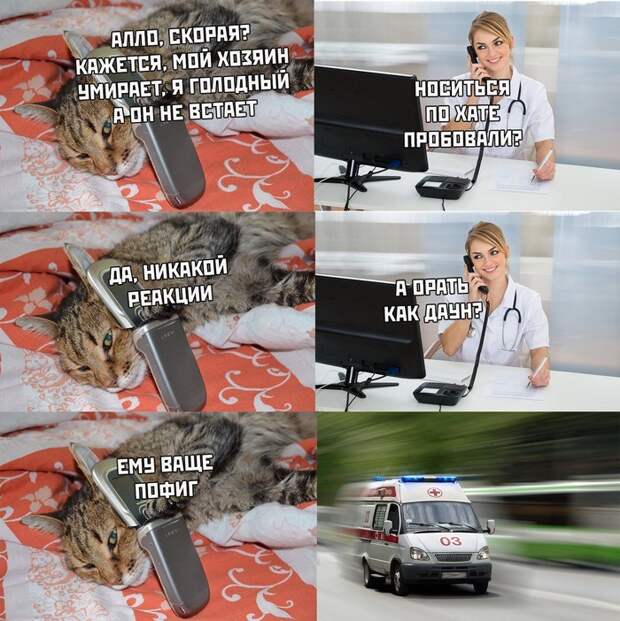 Хозяин заболел Хозяин заболел