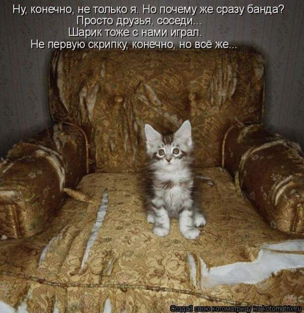 Лучшие котоматрицы недели (50 фото)