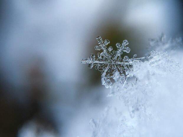 Лед. Фото: pixabay.com