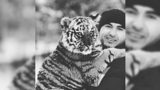 В барнаульском зоопарке после долгой болезни умерла тигрица Багира