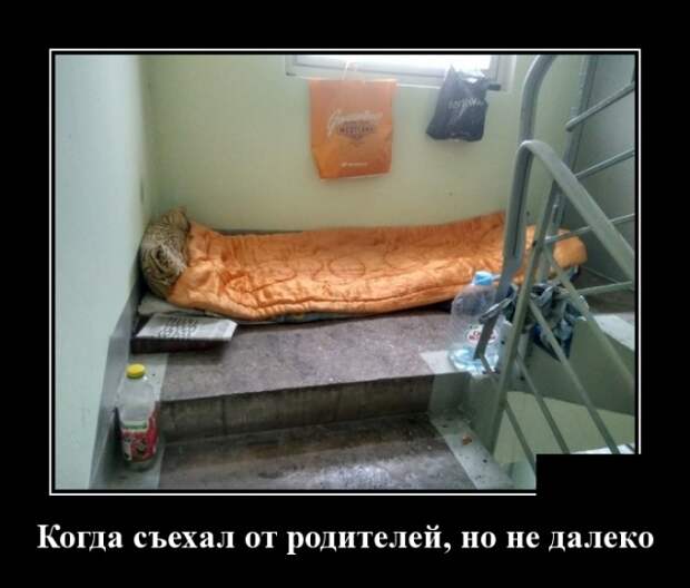 Демотиваторы (30 фото)