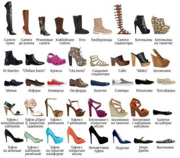 Разновидности женской обуви.