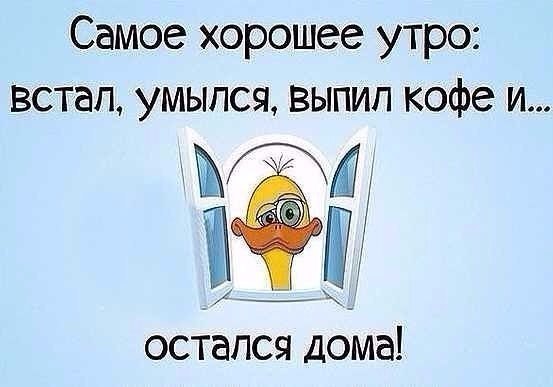 Картинки, юмор, приколы