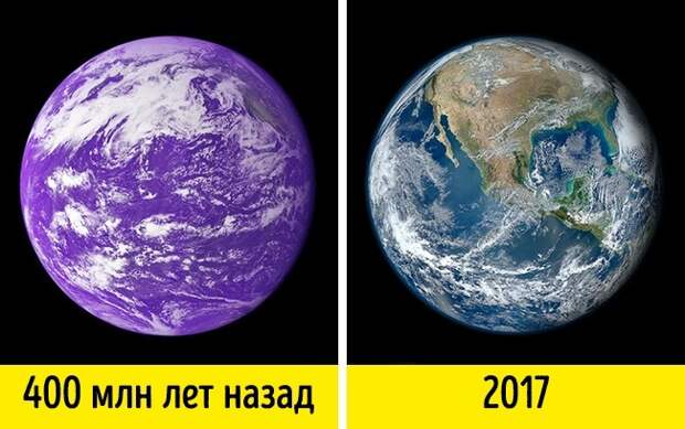 12 фактов о нашем мире, которые известны далеко не всем