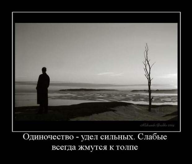 Демотиваторы (30 фото)