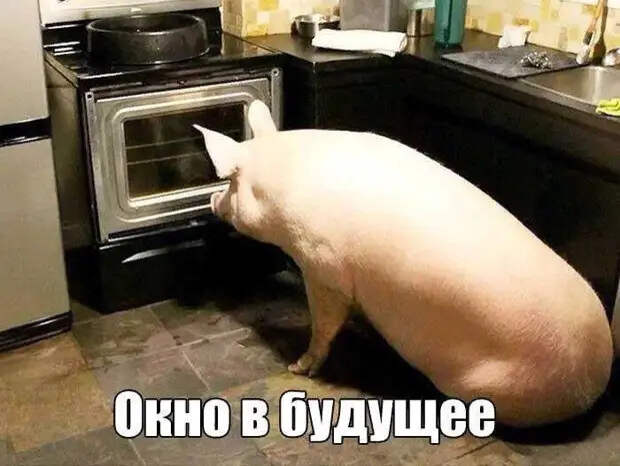 В ресторане, официант принимает заказ. - Вам суп на искусственном бульоне или на натуральном?...