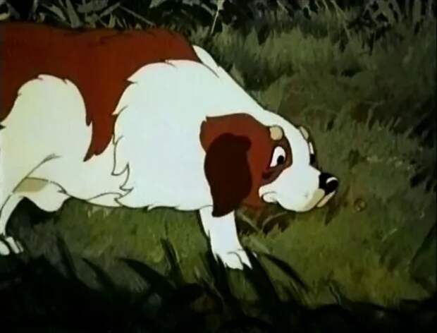 5 5