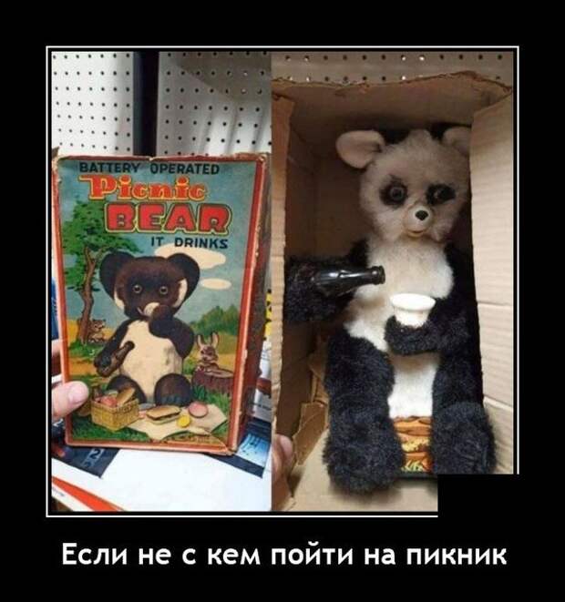 Демотиватор про пикник