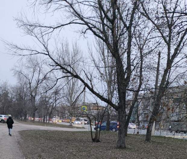 Тянучка в сторону Зелёного в Макеевке