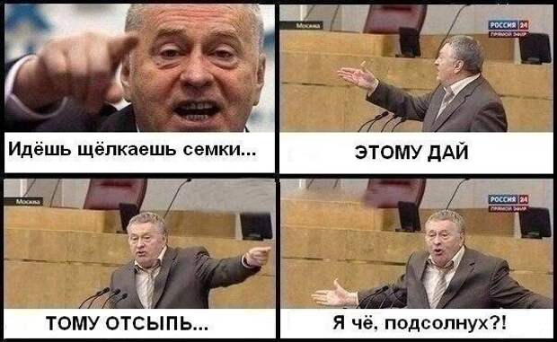 Картинки, юмор, приколы