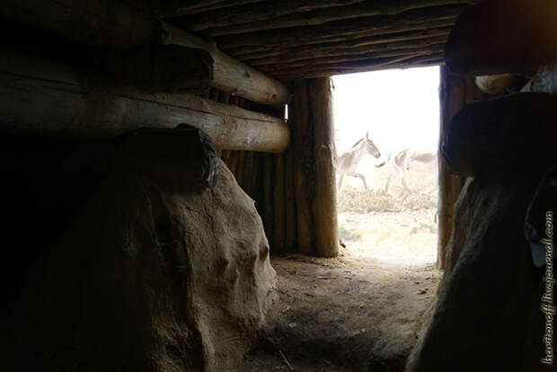 Экскурсия в жилище каменного века