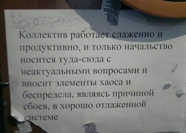 Смешные картинки с надписями прикол, юмор