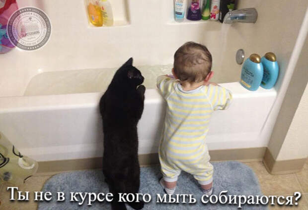 Ты не в курсе кого мыть собираются?