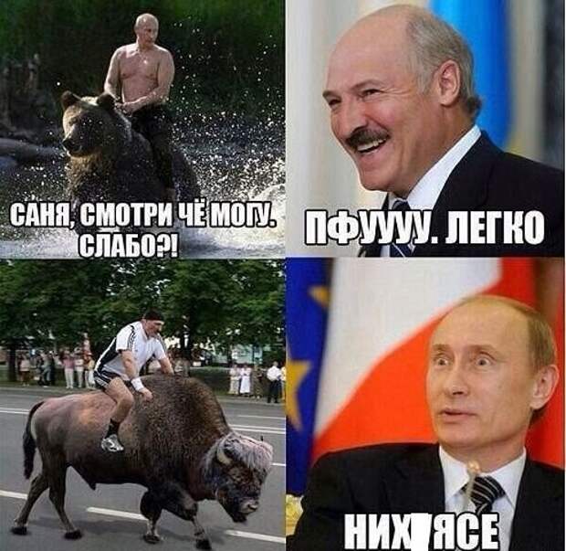 Смешные картинки с надписями картинки, картинки с надписями, юмор