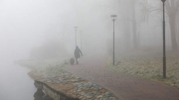 Туман до утра среды ожидается в Подмосковье