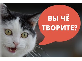 Мир не сходит с ума