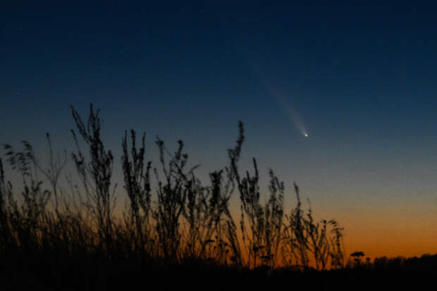 Ученый нашел неожиданный способ защитить Землю от астероидов