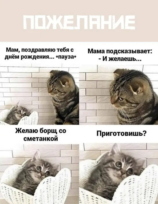 открытка спасибо. благодарность за прекрасные стихи. спасибо открытки красивые. открытки с благодарностью. спасибо очень понравилось.