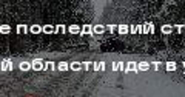 Устранение последствий стихии в Московской области идет в усиленном режиме