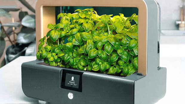 Дайджест: "умная" ферма, тайная жизнь домашних котов в нейросетях и ручка с искусственным интеллектом