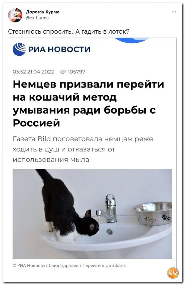 Обзор ситуации в мире с юмором и сарказмом