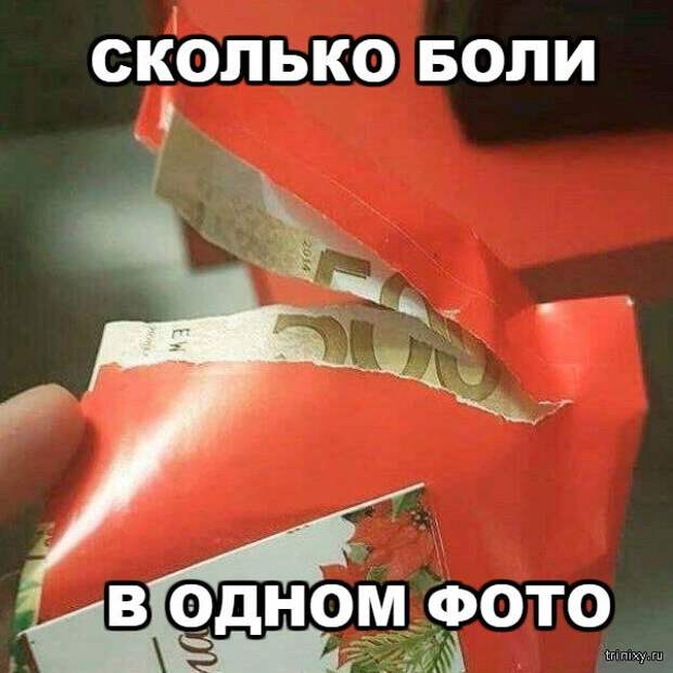 Смешные картинки с надписями