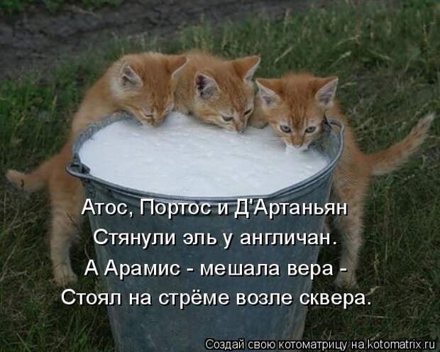 Котоматрицы