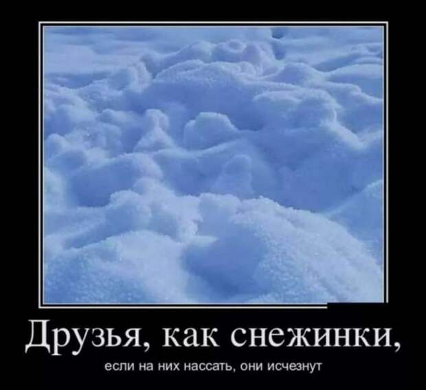 Прикольные демотиваторы с надписями. Подборка chert-poberi-dem-chert-poberi-dem-24120412112020-9 картинка chert-poberi-dem-24120412112020-9
