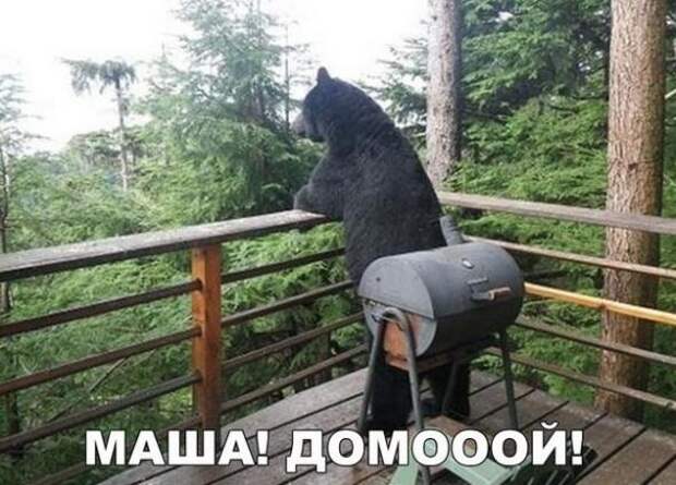Картинки, юмор, приколы