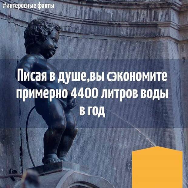 Чрезвычайно экономные люди, которые точно не пропадут в кризис Чрезвычайно экономные люди, которые точно не пропадут в кризис кризис, прикол, экономия, юмор