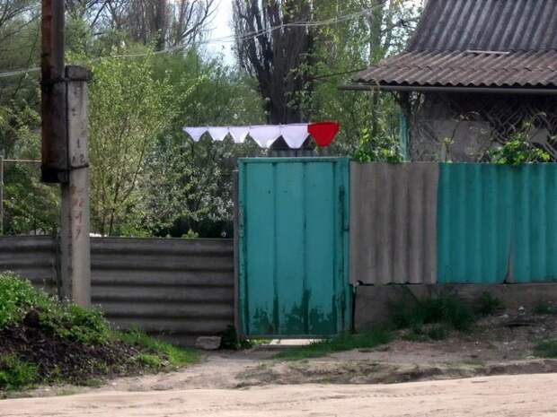 Прикольные картинки прикол, фото, юмор
