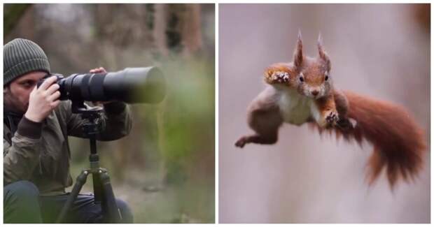 Прыжок белки-ниндзя