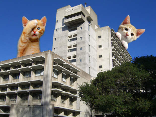 1334145614_pic