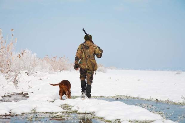Зверские правила: Минприроды и Госдума готовят поправки в закон «Об охоте»
