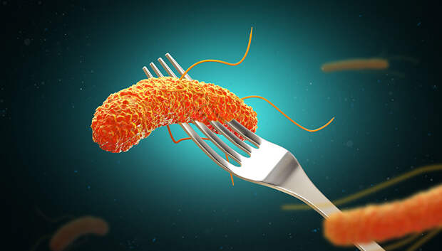 Может ли пищевое отравление привести к хроническим проблемам с пищеварением?