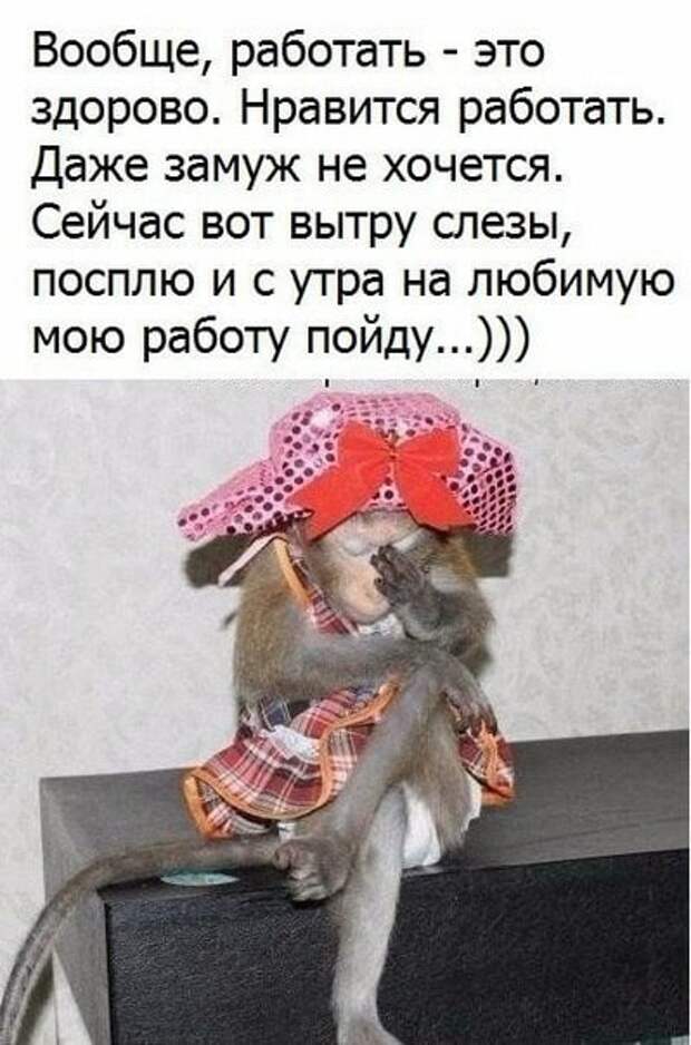 Работаешь щас