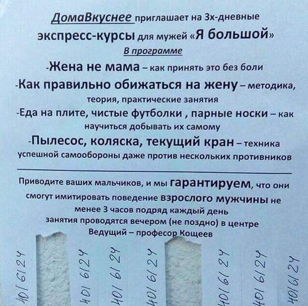 Хоть какое-то подобие нормального курса Хоть какое-то подобие нормального курса