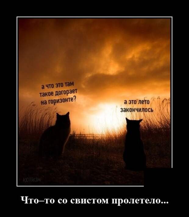 Демотиватор про уходящее лето