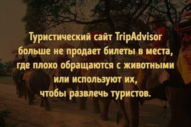 Интересные факты для любознательных