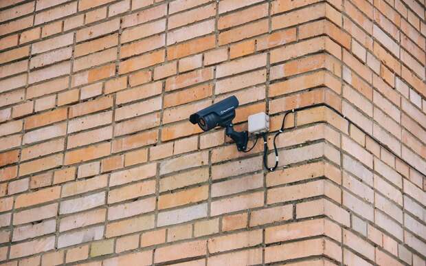 Предотвратили 100 преступлений: Юлия Швакова рассказала об использовании ИИ